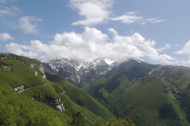 Galleria panoramica